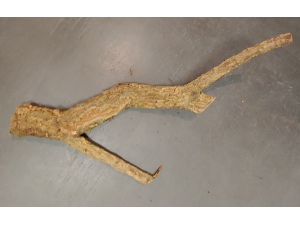 Korková větev Tronchos 1,3 kg 72cm