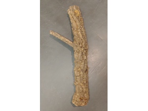 Korková větev Tronchos 2,0 kg 70cm