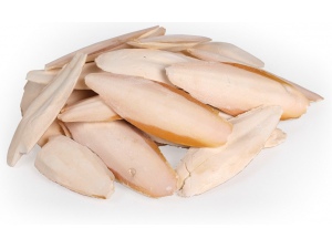 Sépiová kost, 1kg