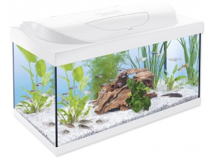 Akvarijní set Tetra Starter Line LED bílá 60x30x30cm 54l