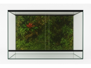 Skleněné terárium 60x40x40cm s dvojitým větráním