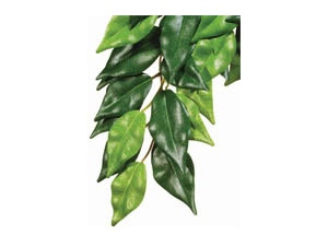Rostlina textilní Ficus 63cm