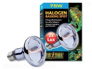 Žárovka Halogen Basking Spot 100W 1ks