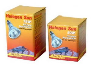 Žárovka Halogen Sun 50W