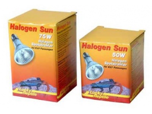 Žárovka Halogen Sun