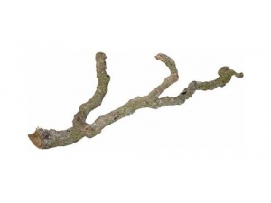 Korkové větve Tronchos 40-60 cm