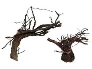 Přírodní kořeny Grapevine 40-50cm