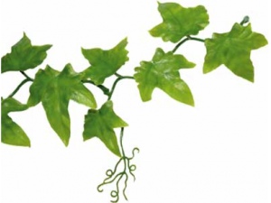 Ivy Vine 200cm