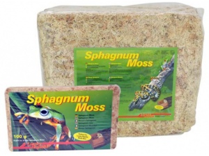 Rašeliník Sphagnum Moss 500g