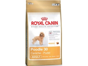 Royal Canin MINI Pudl