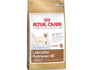 Royal Canin MAXI Labrador retrívr