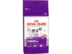 Royal Canin GIANT Adult