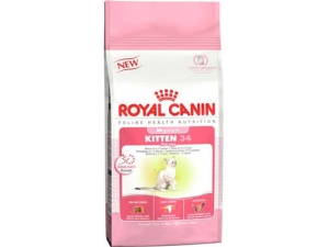 Royal Canin Kitten 10kg