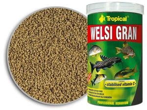 Tropical Welsi Gran