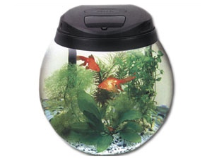 Akvárium Bowl Set II, 25l černé
