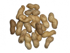 Burské ořechy nepražené 250g