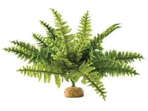 ExoTerra Boston Fern střední