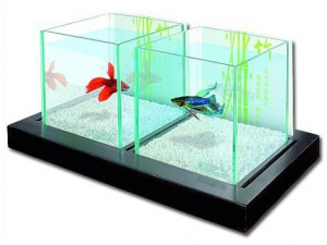 Akvárium Bamboo Betta Duo