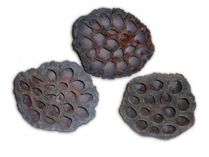 Dekorace Lotos Flower