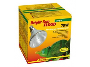 Lucky Reptile Bright Sun FLOOD Jungle 70W