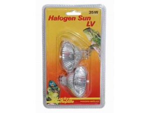 Halogen Sun LV bodové 50W