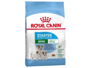 Royal Canin MINI Starter