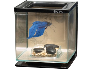 Marina Betta Kit Zen 2l