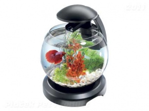 Tetra Cascade LED akvarijní set 6,8 l černý