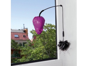 Bláznivá myš s přísavkou na okno