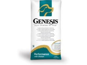 Genesis Performance