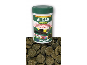 Prodac Algae Wafers