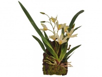 Závěsná orchidej - bílá cca 20x30cm