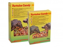 Lucky Reptile Tortoise Candy