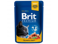 BRIT Premium Cat Salmon & Trout kapsička 100 g