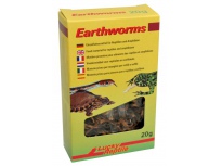 Lucky Reptile Earthworms 10g