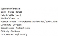 Sagittaria subulata var. Pussila