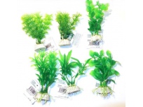 Tatrapet akvarijní rostlina 10-12cm 6x mix zelená