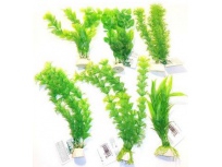 Tatrapet akvarijní rostlina 15-20cm mix 6ks zelená
