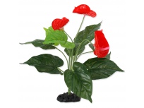 Rostlina REPTI PLANET kvetoucí Anthurium 40 cm