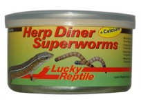 Herp Diner Superworms 35g