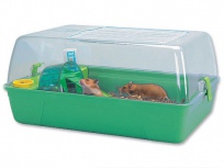 Box RODY Hamster