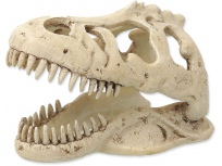 Dekorace REPTI PLANET T-REX lebka 13,3 cm