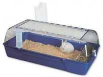 Box RODY Rabbit