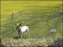 Ohrádka SAVIC Dog Park