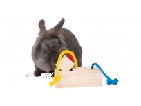 Hra pro králíky - dřevěná kostka na pamlsky