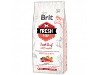 BRIT Fresh Beef with Pumpkin Puppy Large