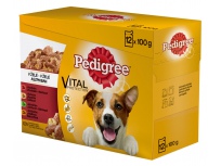 Pedigree adult 12 x 100 g kapsa v želé hovězí, kuře, jehně, drůbeží