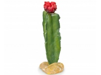 GiganTerra Umělý Kaktus Red