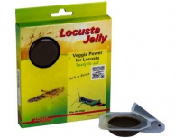 Lucky Reptile Locusta Jelly 4x 15g