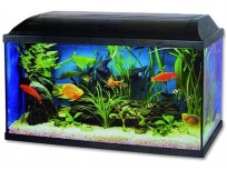 Akvarium set Pacific 54l s LED osvětlením (bez filtru, topítka)